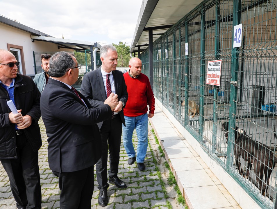 ‘Hayvanları sokağa terk etmeyin, barınağımıza getirin’