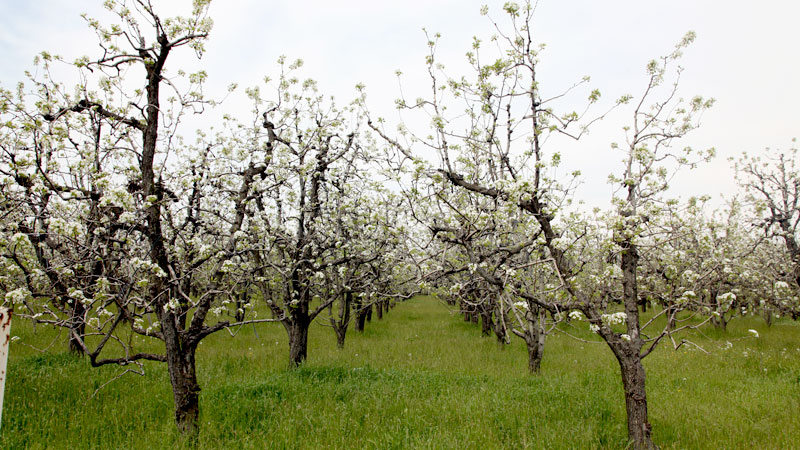 Maliyetler yüzde 400 arttı! Bursa’da bu sene cep yakacak