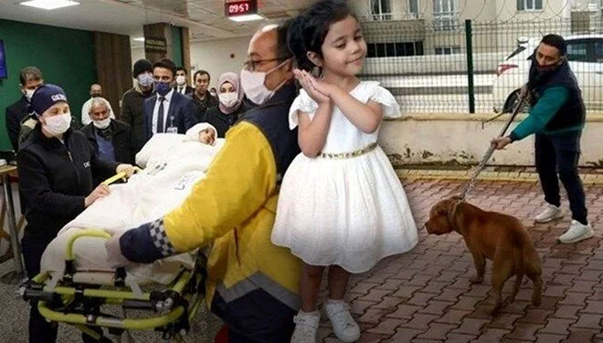 Asiye’ye pitbull saldırısı davasında tutuklu sanıklara tahliye Asiye’ye pitbull saldırısı davasında tutuklu sanıklara tahliye