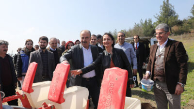 Mudanya Belediyesi’nin ayçiçek tohumları toprakla buluştu