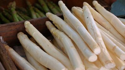 Bağırsak kanserine karşı zırh görevi görüyor!