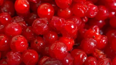 Böbreklerin doğal ilacı oymuş!