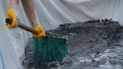 Ordu’da üretiliyor! Rusya ve Japonya kapış kapış alıyor!