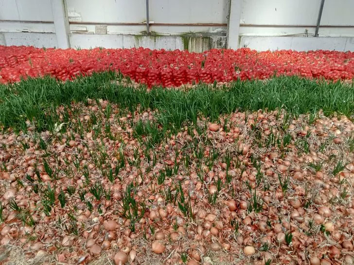 Tonlarcası elde kaldı! Üreticilerden tepki