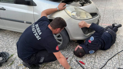 Bursa’da kedi kurtarma operasyonu