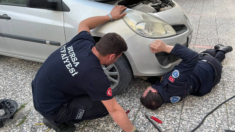 Bursa’da kedi kurtarma operasyonu