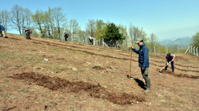 Bursa’da çocukluk arkadaşı 4 mühendis atıl araziyi tarıma kazandırıyor
