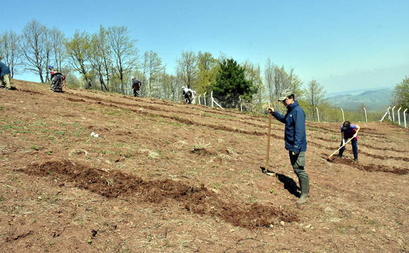 Bursa’da çocukluk arkadaşı 4 mühendis atıl araziyi tarıma kazandırıyor