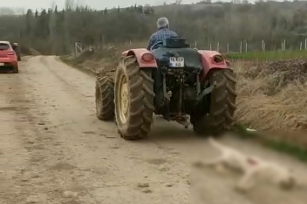 Bursa’da dehşet veren olay!