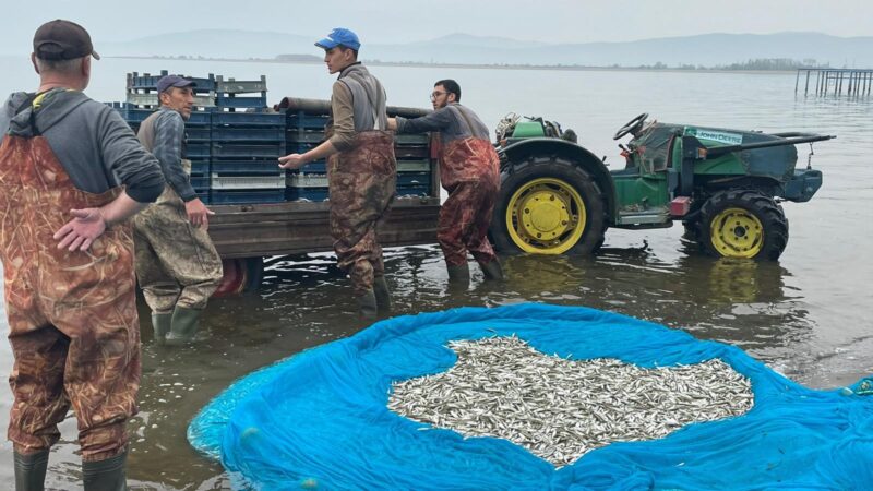 İznik Gölü’nde gümüş balığı sezonu açıldı İznik Gölü'nde gümüş balığı av sezonu açılırken, 4 kooperatife üye