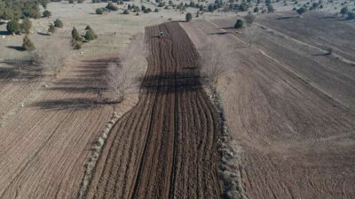 Satılık tarla ilanı