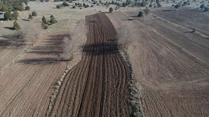 Satılık tarla ilanı