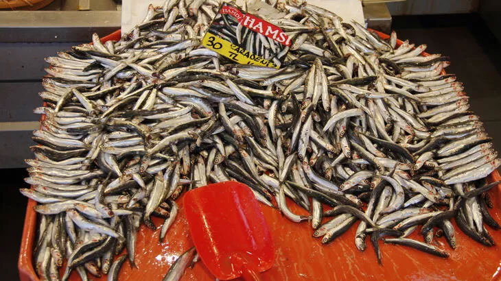 Avlanma yasağı öncesinde, tezgahta balık fiyatları