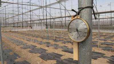 Ucuz sebze için tarih verildi!