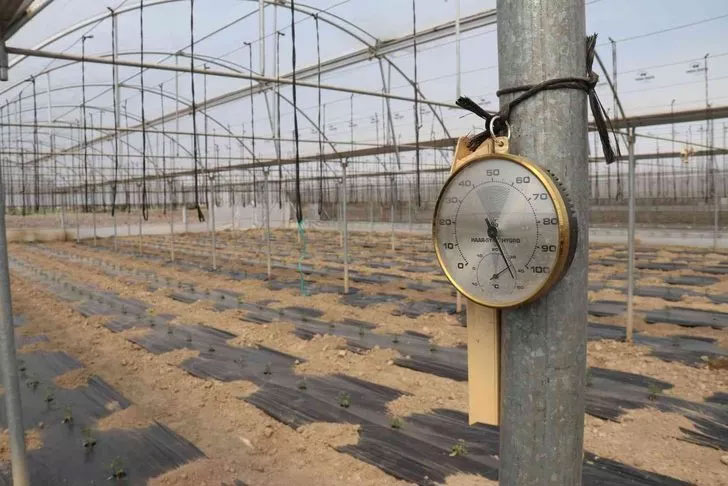 Ucuz sebze için tarih verildi!