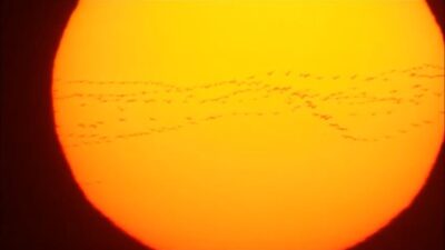 Bursa semalarında görsel şölen