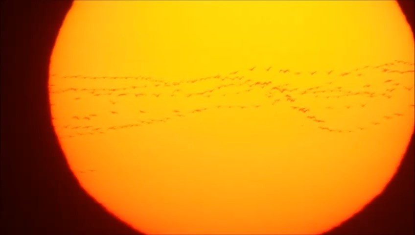 Bursa semalarında görsel şölen