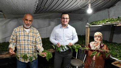 Bursa ipeği Mustafakemalpaşa’da kozalarından doğuyor
