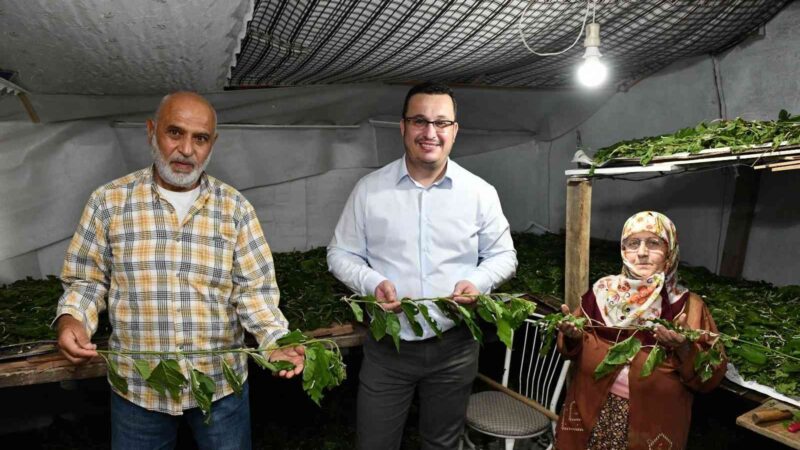 Bursa’nın evrensel değerlerinden biri olan ipek yetiştiriciliği ve ipek üretimi