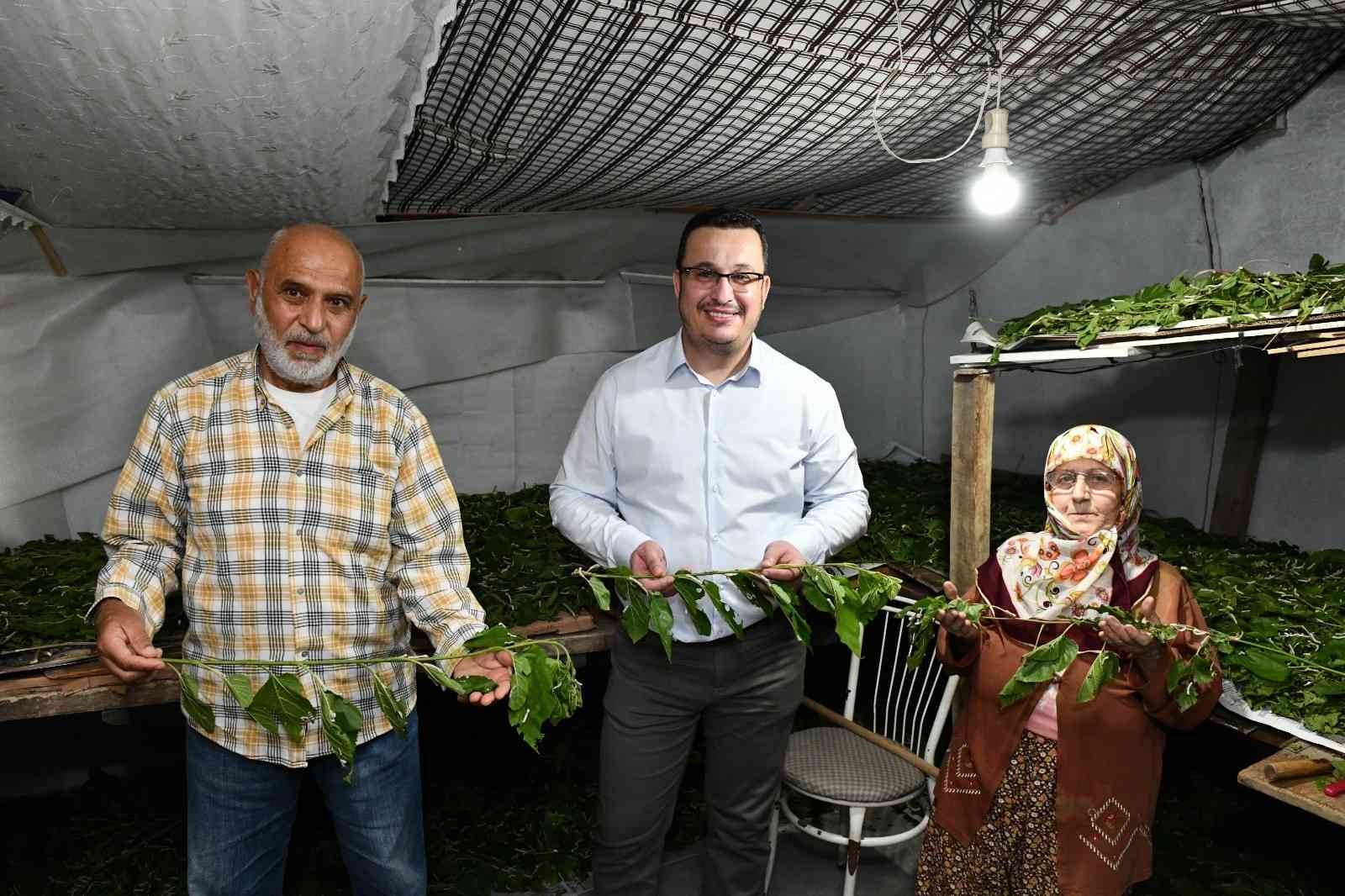 Bursa ipeği Mustafakemalpaşa’da kozalarından doğuyor Bursa ipeği Mustafakemalpaşa’da kozalarından doğuyor