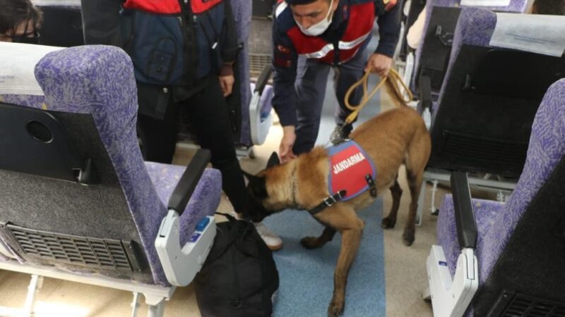 Bursa Jandarması’ndan trende köpekli denetim Bursa’da jandarma ekipleri, İzmir-Ankara ve İzmir-Eskişehir seferini yapan trenlerde köpekle