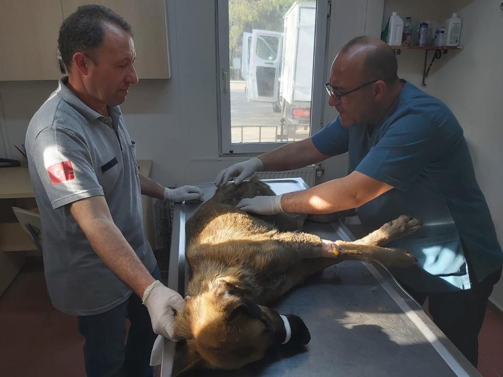 Bursa’da bu acı feryadı duyanlar koştu