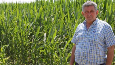 Dünyanın mısırı Yenişehir’de üretiliyor