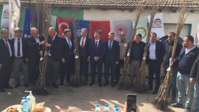 Bursa’da tarım taarruzu! Dekar başına 1 ton ürün…