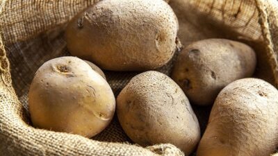 Bakanlık: Patates karantina etmenleri sebebiyle 26 ilde karantina tedbirleri uygulanmaktadır