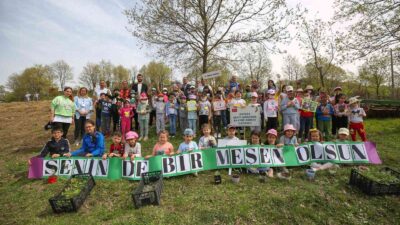 Meşe palamutlarını fidana dönüştürüp toprağa diktiler