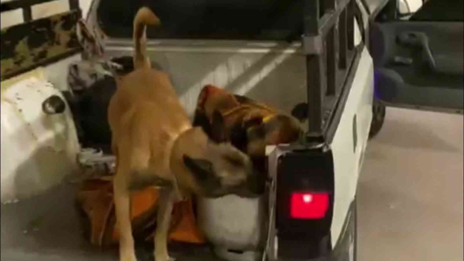 Bursa’da mutfak tüpüne saklamışlar! Galya’dan kaçamadılar