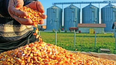 Bursa için hassas konu; Sanayi mi tarım mı?