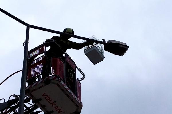 Bursa’da papağan seferberliği