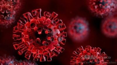 Endişelendiren açıklama: Türkiye’de yayılabilir