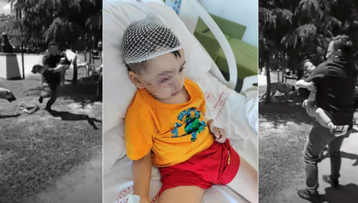 Köpek güzellik yarışmasında dehşet