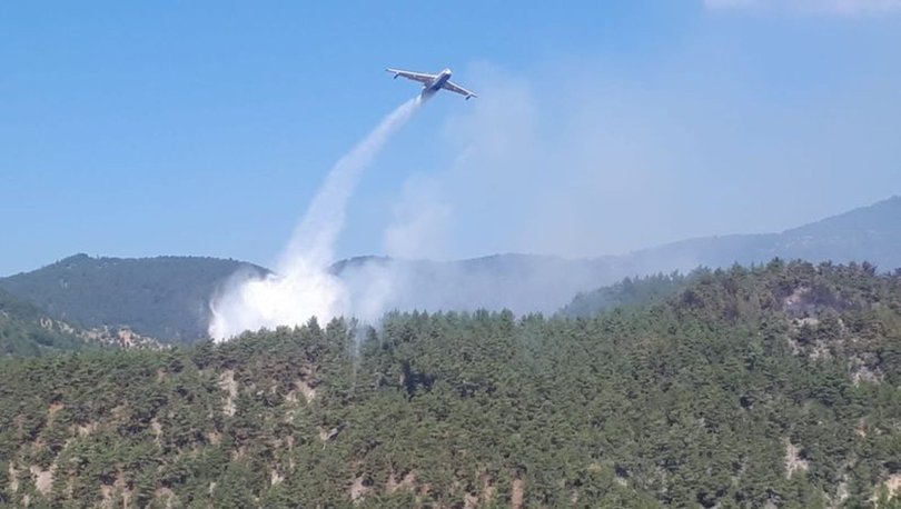 Orman yangınlarına hava müdahalesiyle ilgili önemli karar