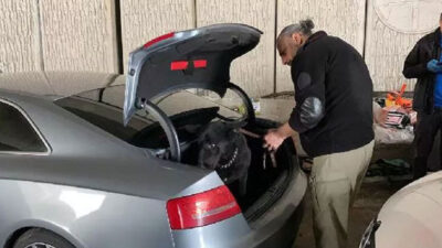 Polisten kaçarken kaza yaptı, otomobilinden uyuşturucu çıktı