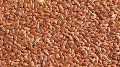 Karacabey TİGEM’den badem satışı…