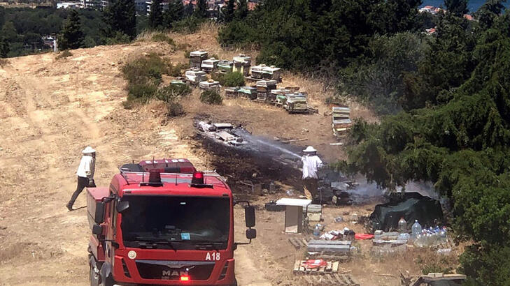 İzmir’de orman yangını