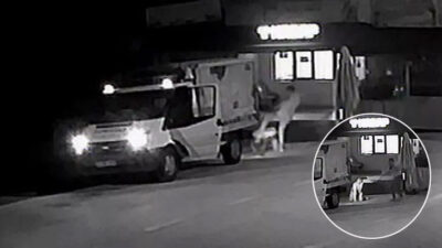 Arkadaşını başına piknik tüpüyle vurarak ağır yaraladı