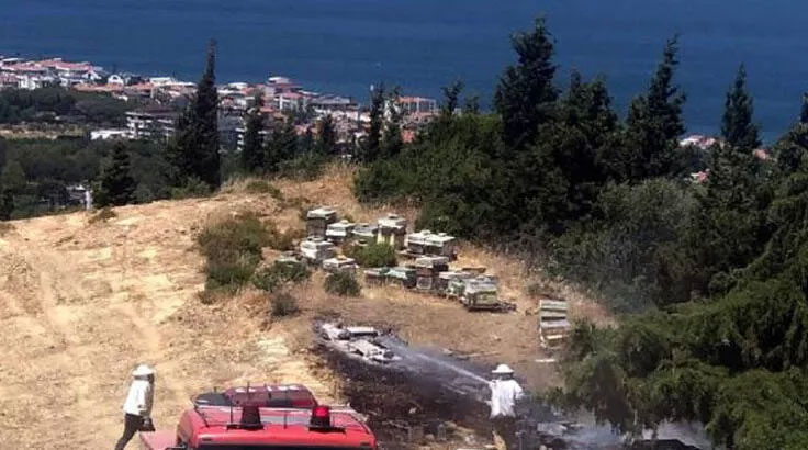 İzmir’de orman yangını İzmir’de orman yangını