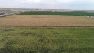 İcradan satılık arsa