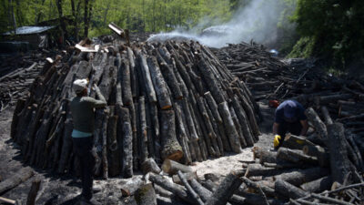 Yer: Bursa… O köyde mangal kömürü ekmek kapısı oldu