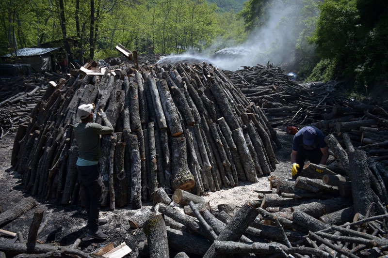 Yer: Bursa… O köyde mangal kömürü ekmek kapısı oldu