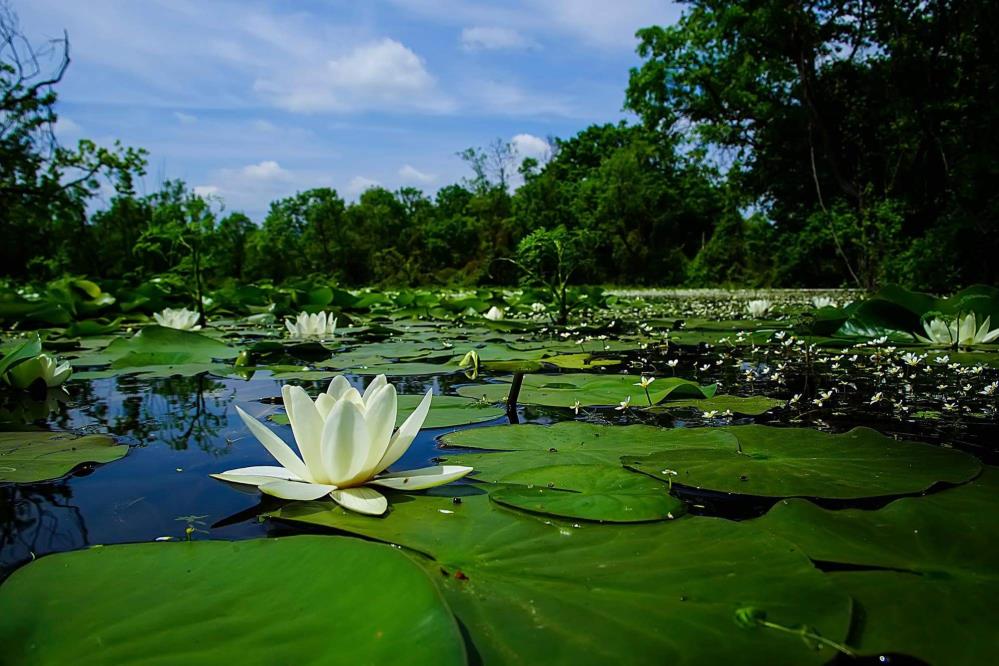 Bursa’da baharla birlikte en renkli halini aldı! Kartpostallık görüntüler Bursa’da baharla birlikte en renkli halini aldı! Kartpostallık görüntüler