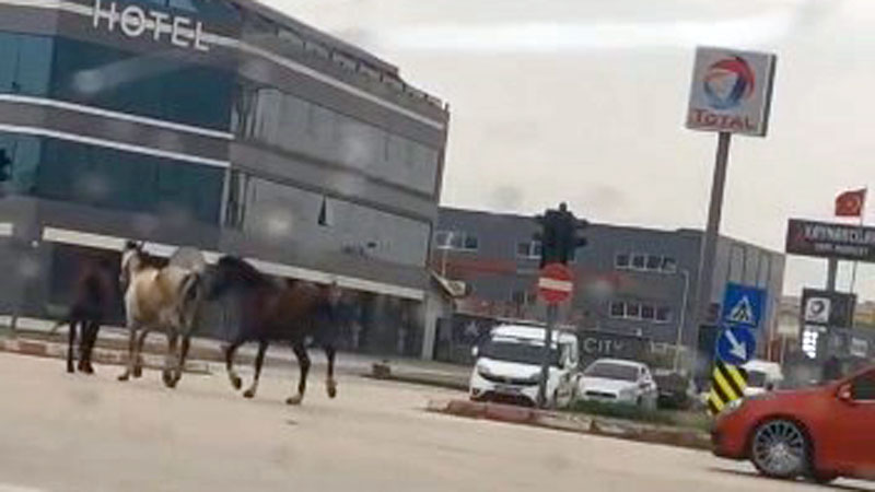 Yer: Bursa… Kazaya davetiye çıkardılar