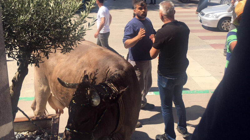 Bursa’da rezalette son perde! 9 Mayıs Pazartesi günü mesainin bittiği saatlerde Kestel Belediyesi teknik