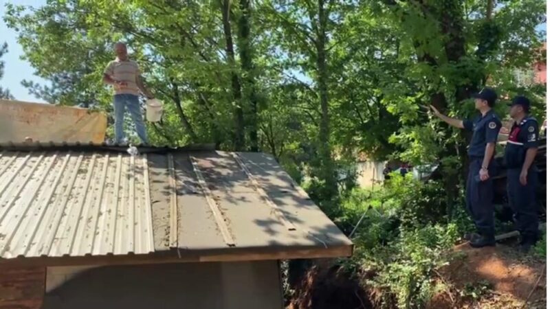 Bursa’da belediyeyi basmıştı! Şimdi de bunu yaptı Bursa’nın Kestel ilçesinde inekleriyle belediyeyi basan kişinin hazine arazisine kaçak