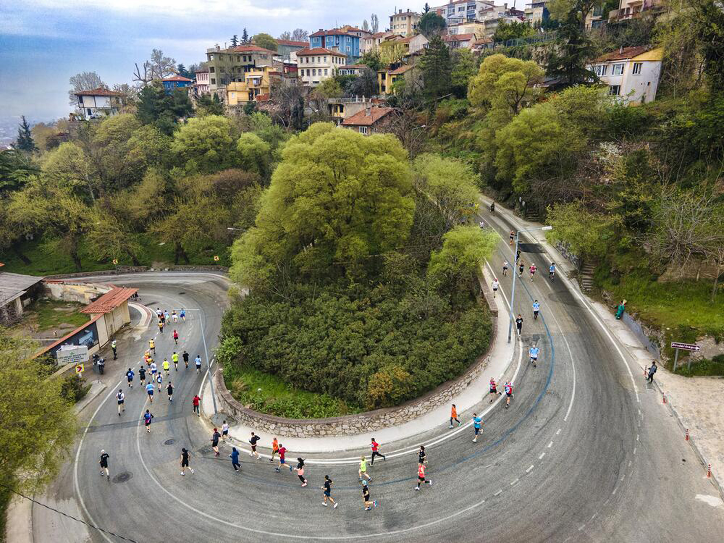 Fotoğraf Yarismasi 4