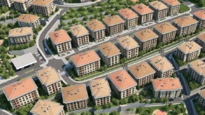 Konuta indirimli kedi desteği! Ayrıntılar belli oldu